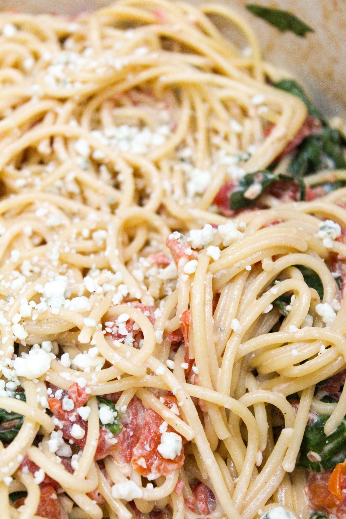 blue cheese and tomato pasta close up photo with blue cheese crumbles on top
