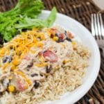 Slow Cooker Cream Cheese Chili Chicken plated over rice