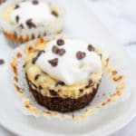 mini chocolate chip cheesecake with wrapper
